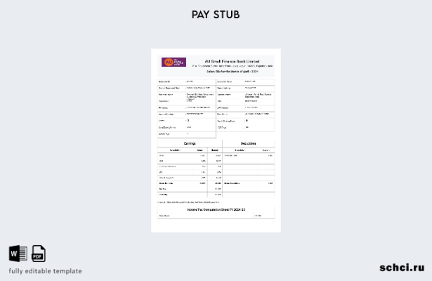 скачать в цифровом формате шаблон зарплатной ведомости AU Small Finance Bank